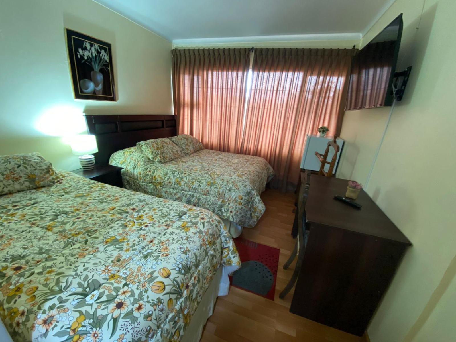 New Hotel Cruz Del Sur 콘셉시온 외부 사진