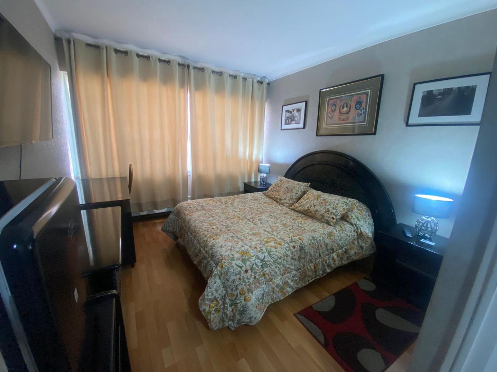 New Hotel Cruz Del Sur 콘셉시온 외부 사진