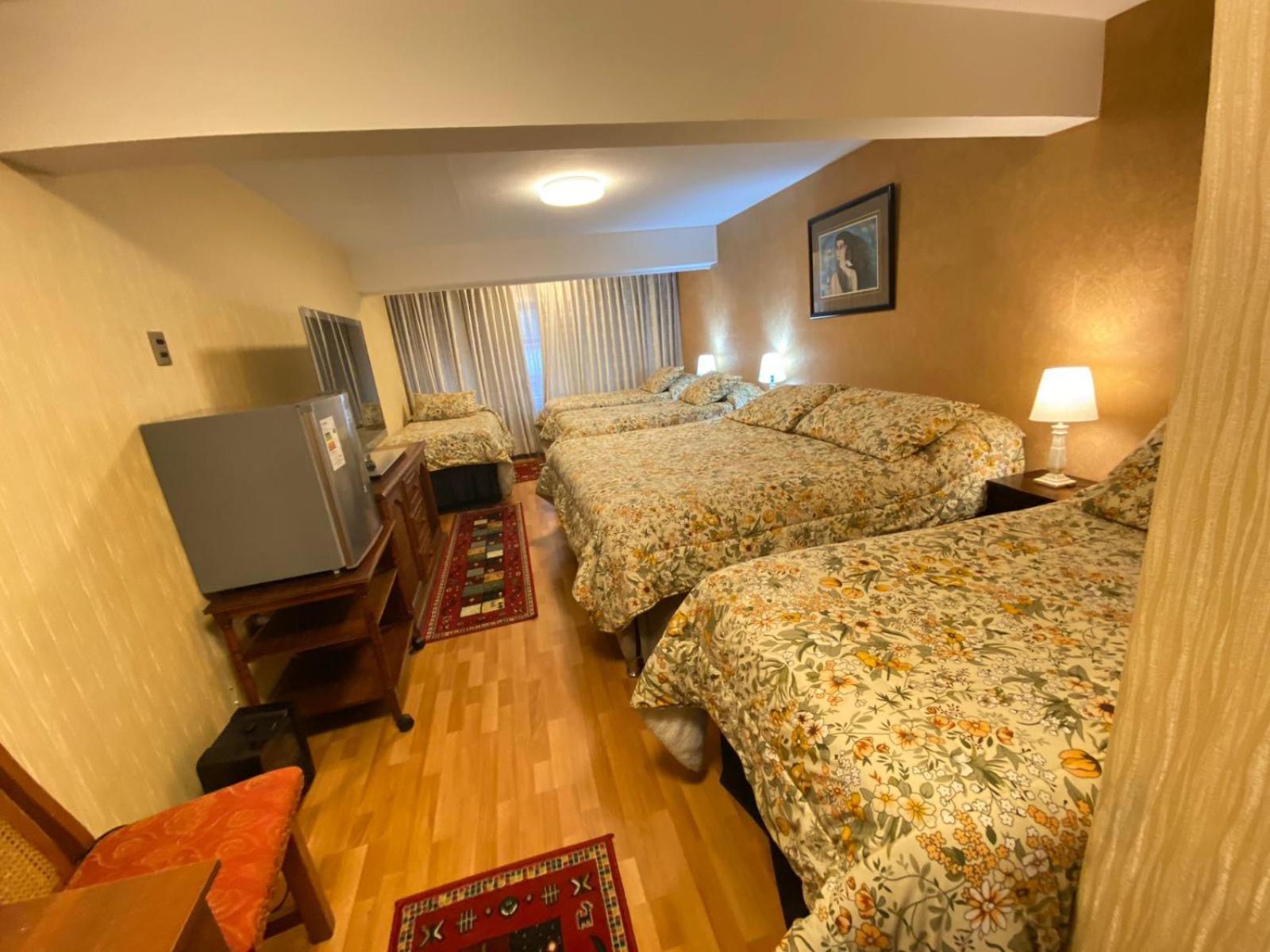 New Hotel Cruz Del Sur 콘셉시온 외부 사진
