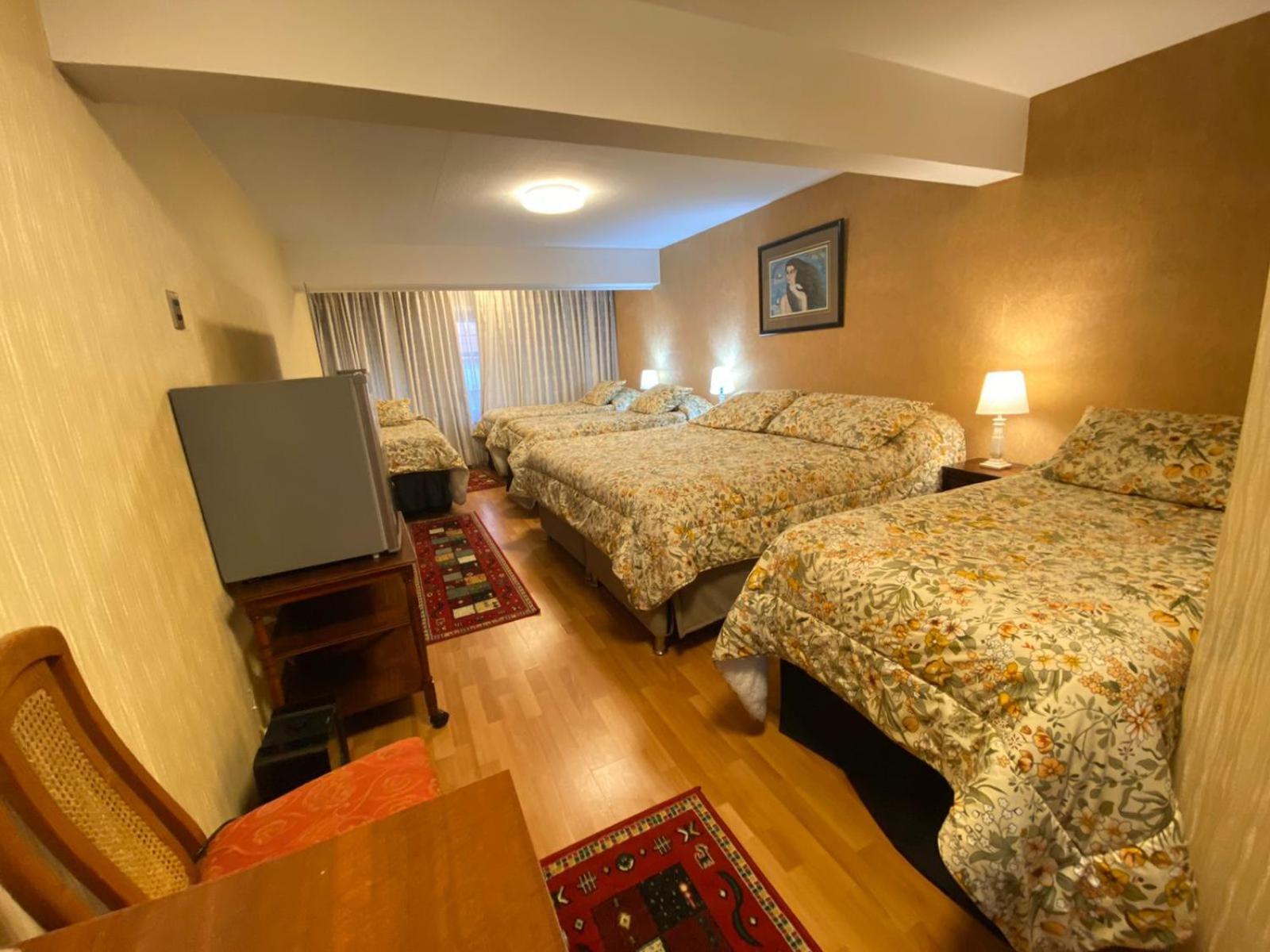 New Hotel Cruz Del Sur 콘셉시온 외부 사진